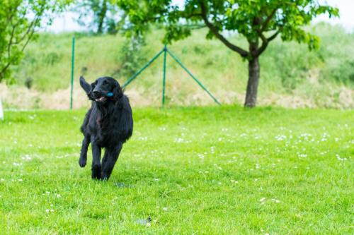 Momentky Huga a Settíka z léta