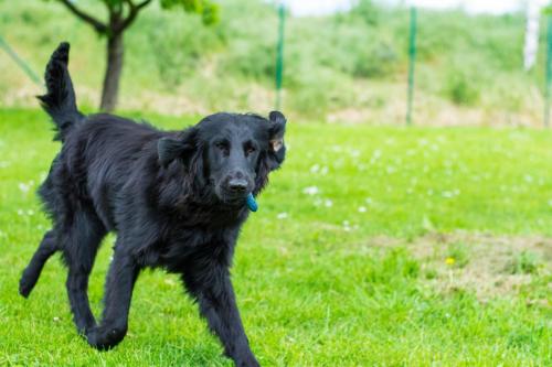 Momentky Huga a Settíka z léta
