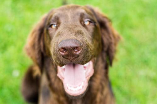 Momentky Huga a Settíka z léta