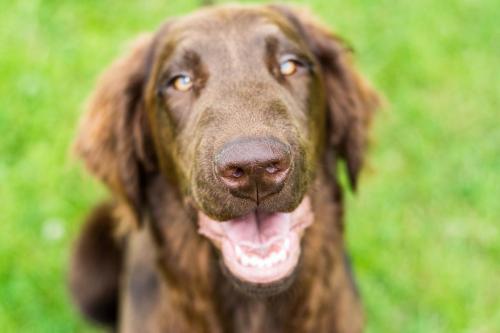 Momentky Huga a Settíka z léta