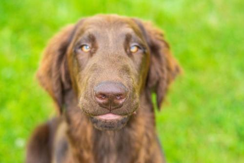 Momentky Huga a Settíka z léta