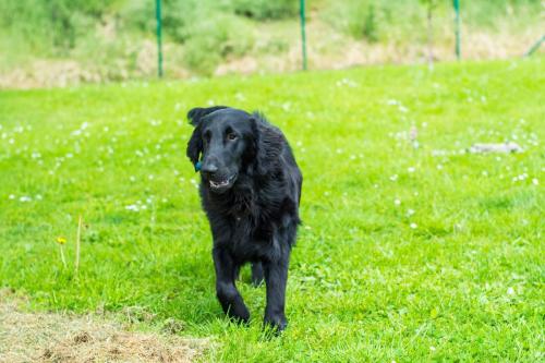 Momentky Huga a Settíka z léta