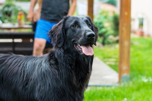 Momentky Huga a Settíka z léta