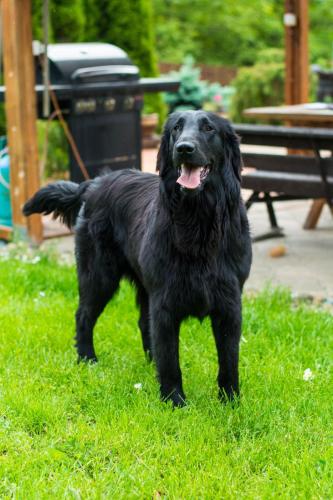 Momentky Huga a Settíka z léta