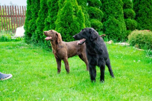 Momentky Huga a Settíka z léta