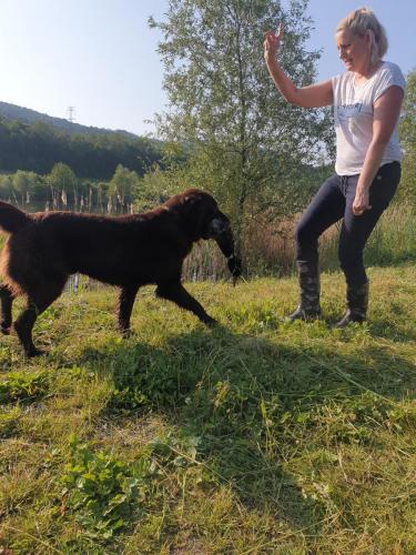 Hugo a Sett na lovu se svou oblíbenou hračkou